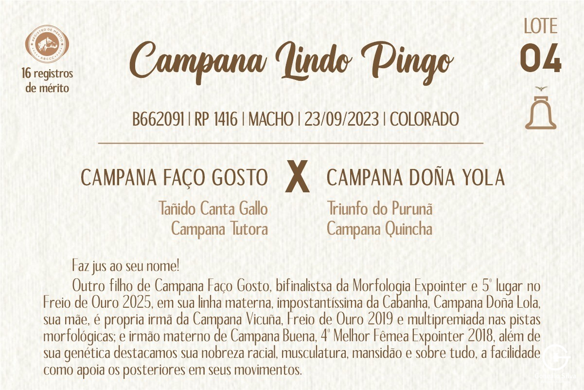 Geração CAMPANA LINDO PINGO