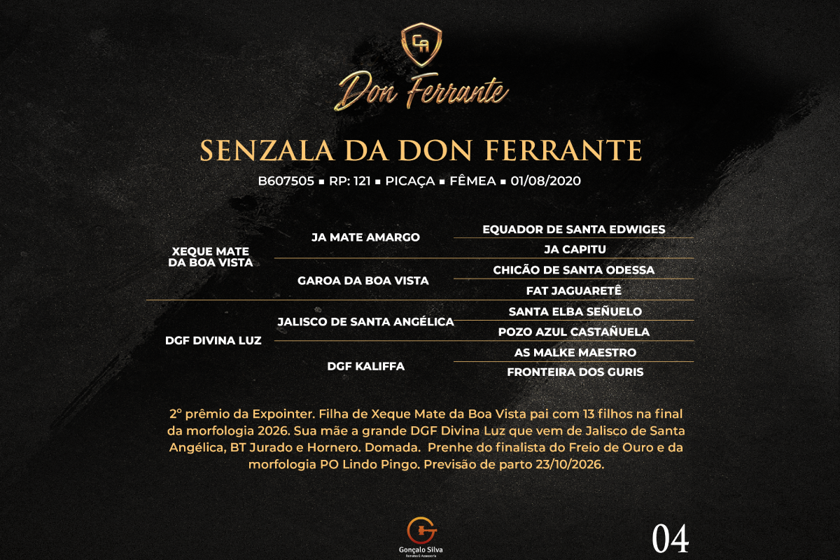 Geração SENZALA DA DON FERRANTE 