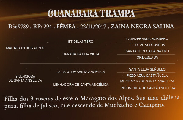 Geração GUANABARA TRAMPA 