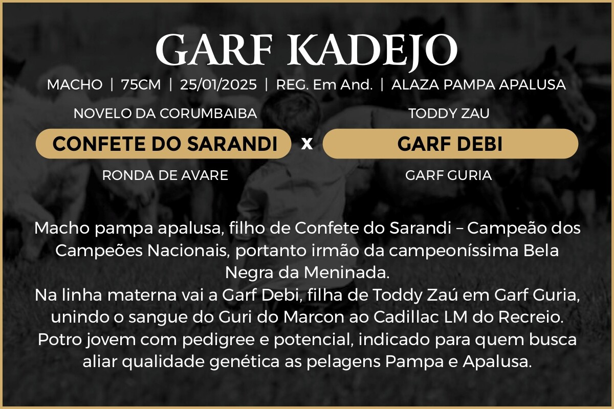 Geração GARF KADEJO