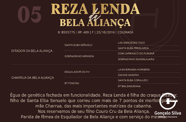 Geração REZA LENDA DA BELA ALIANÇA
