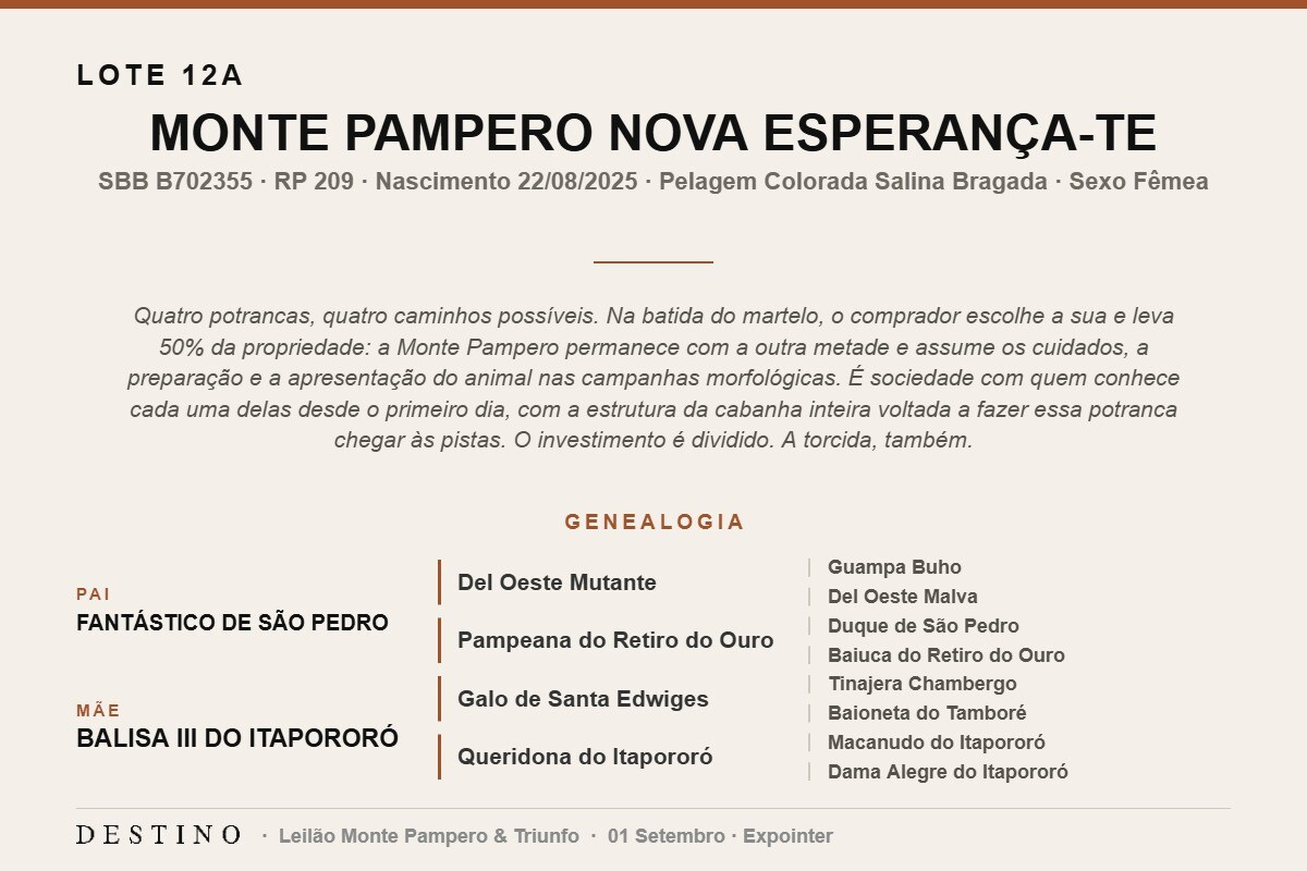 Geração MONTE PAMPERO NOVA ESPERANÇA-TE - (Venda vertical)