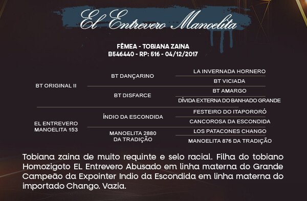 Geração EL ENTREVERO MANOELITA