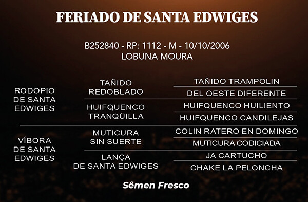Geração FERIADO DE SANTA EDWIGES