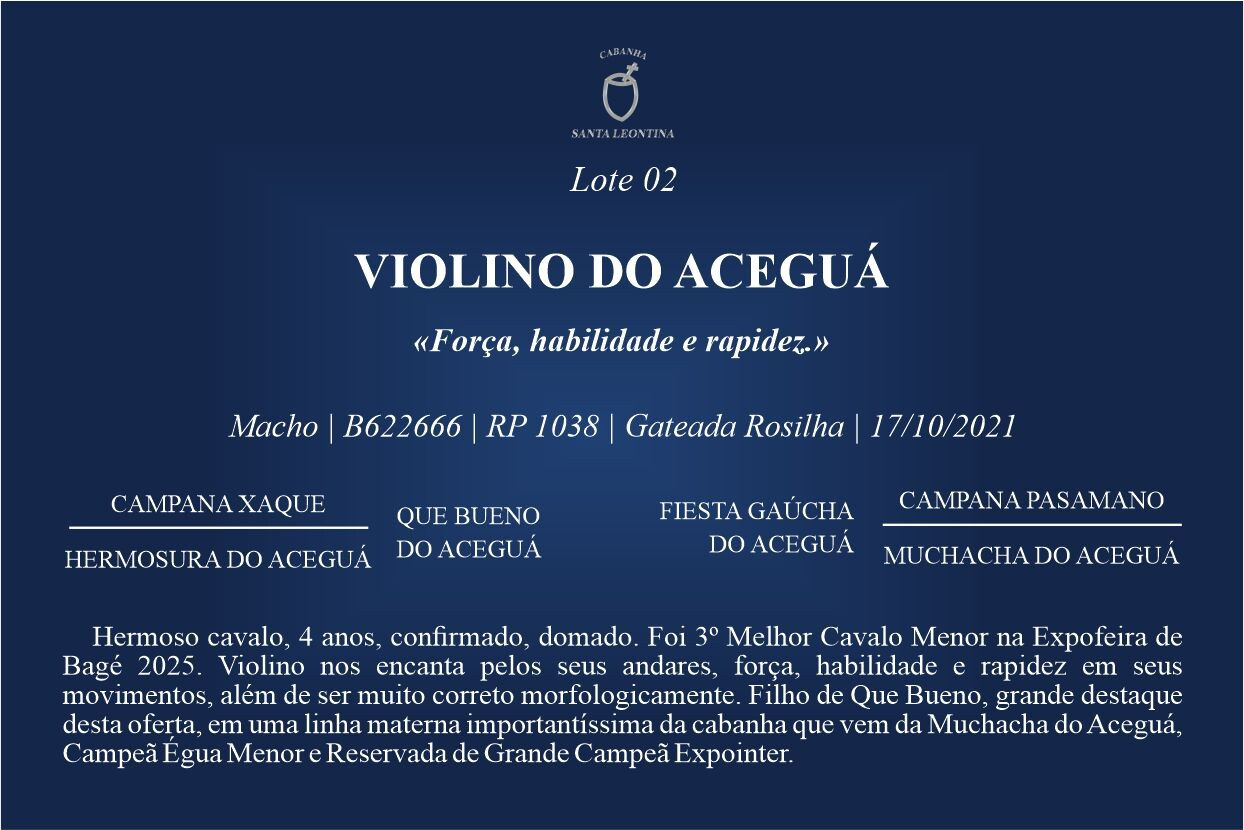 Geração VIOLINO DO ACEGUÁ