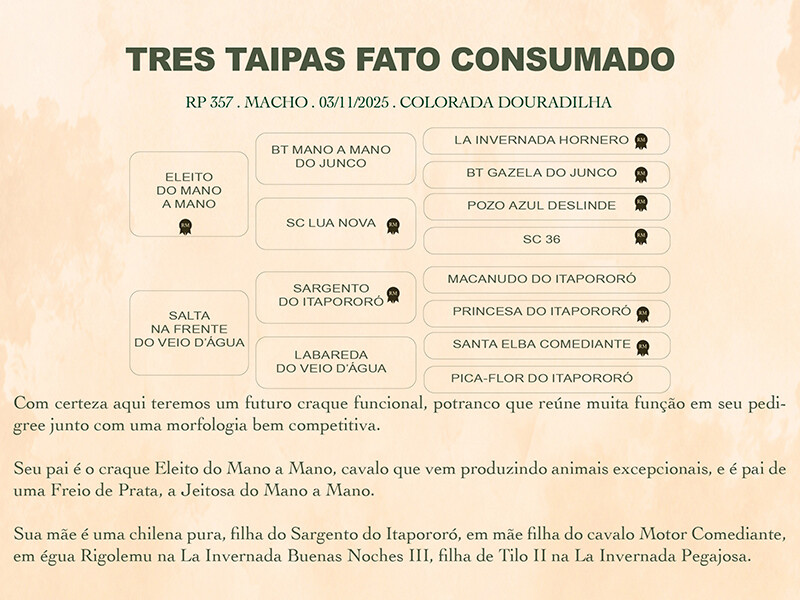 Geração TRÊS TAIPAS FATO CONSUMADO 