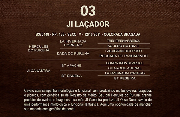 Geração JI LAÇADOR