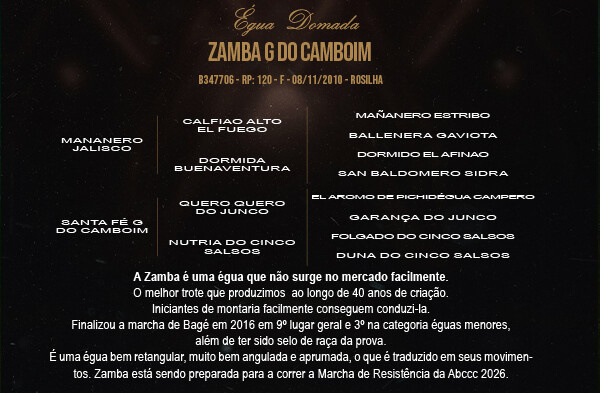 Geração ZAMBA  G DO CAMBOIM