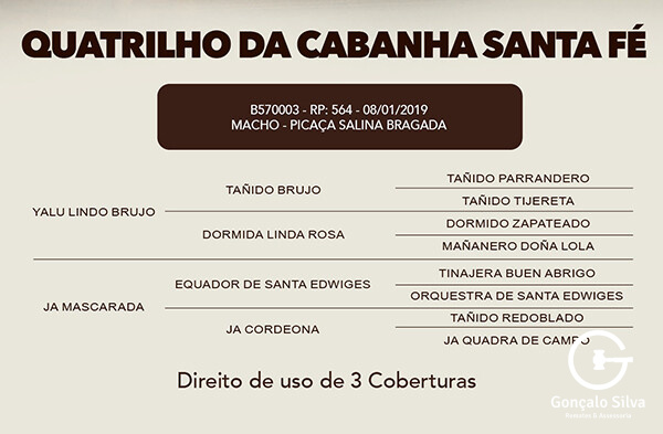 Geração COTA 2,5 % QUATRILHO DA CABANHA SANTA FÉ