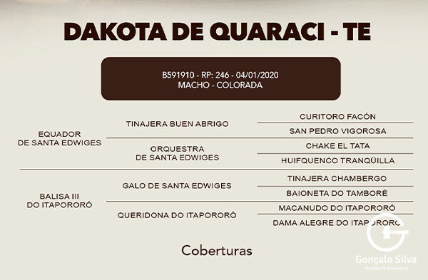 Geração COBERTURA DAKOTA DE QUARACI - TE