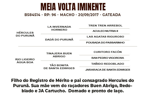 Geração MEIA VOLTA IMINENTE