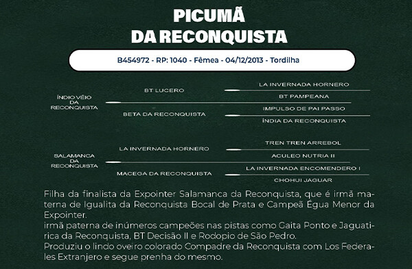 Geração PICUMÃ DA RECONQUISTA