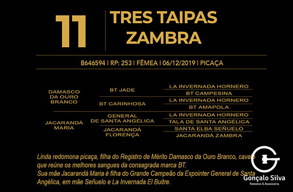 Geração TRÊS TAIPAS ZAMBRA