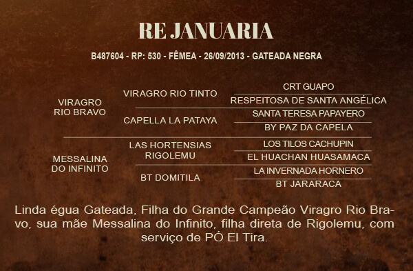 Geração RE JANUARIA 