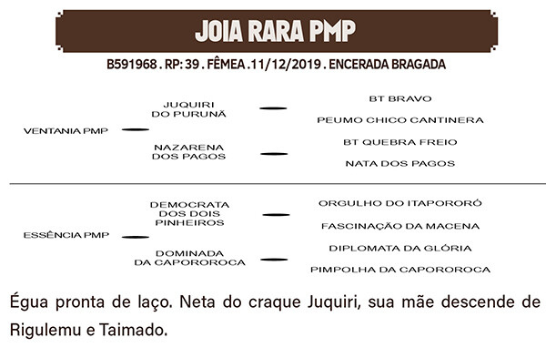 Geração JOIA RARA PMP