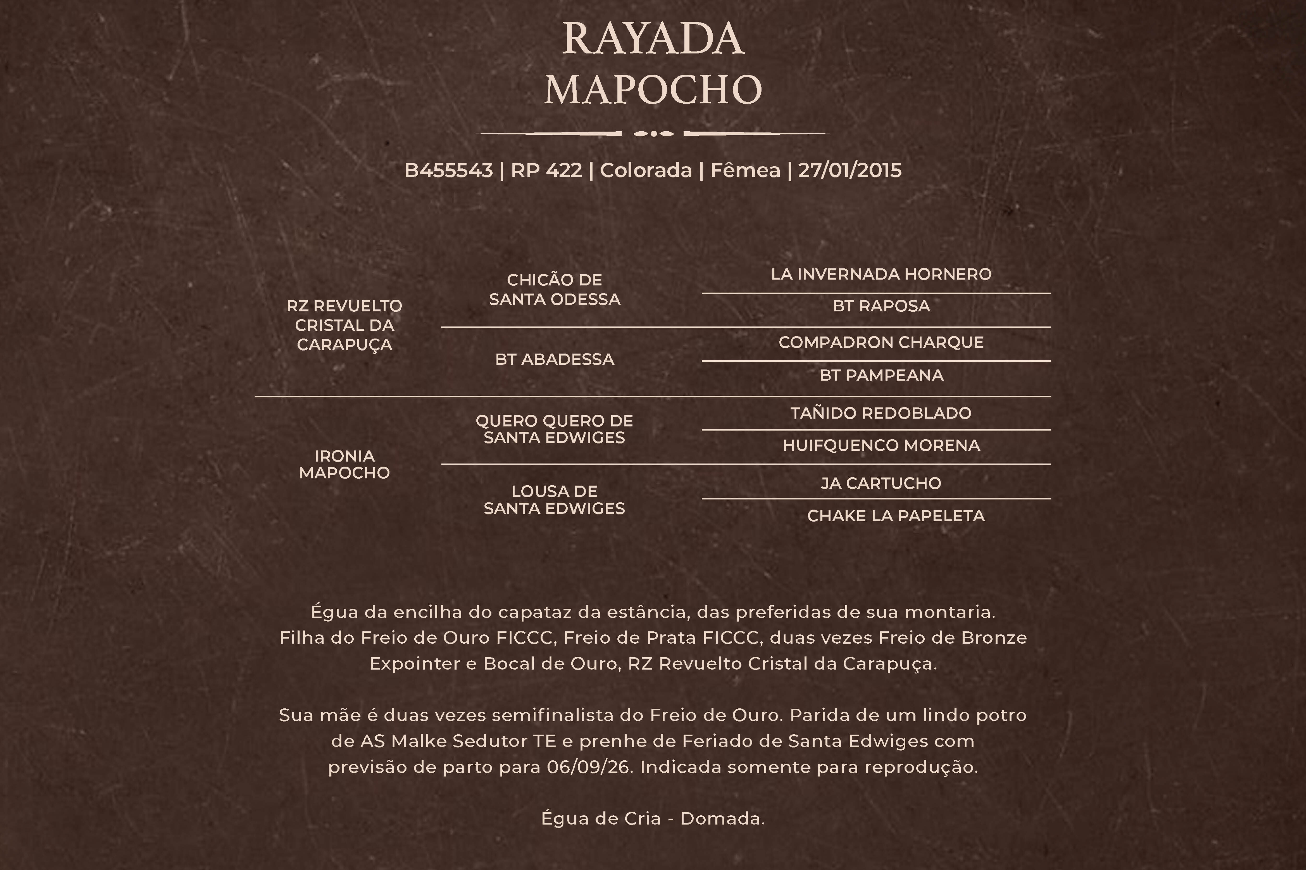 Geração RAYADA MAPOCHO