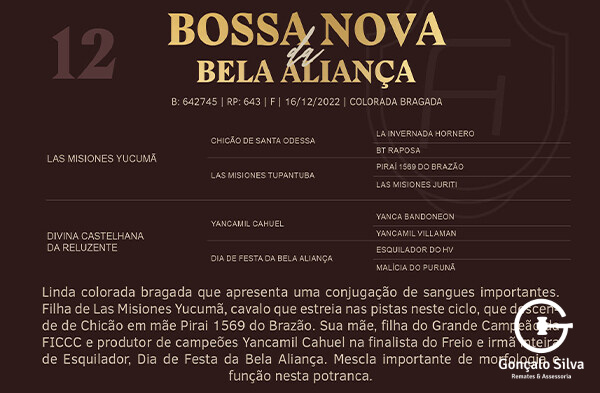 Geração BOSSA NOVA DA BELA ALIANÇA