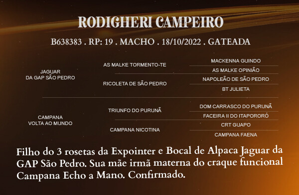 Geração RODIGHERI CAMPEIRO