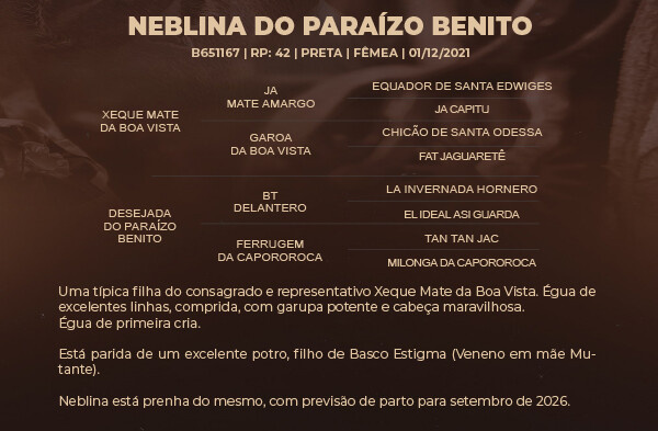 Geração NEBLINA DO PARAIZO BENITO