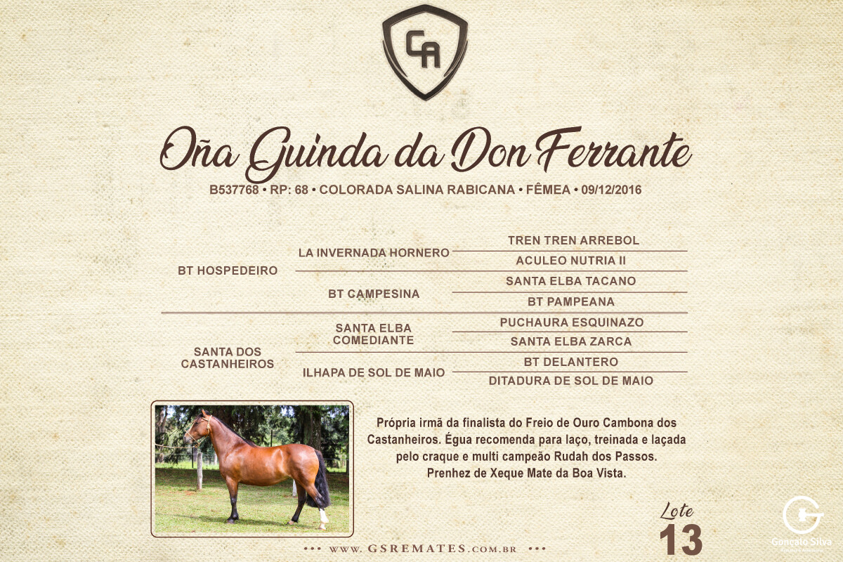 Geração OÑA GUINDA DA DON FERRANTE
