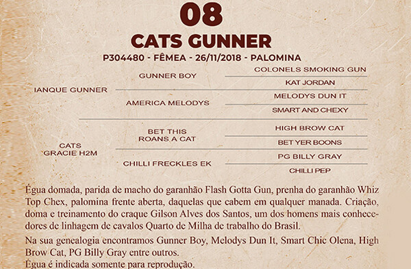 Geração CATS GUNNER