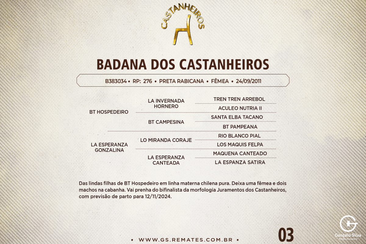 Geração BADANA DOS CASTANHEIROS