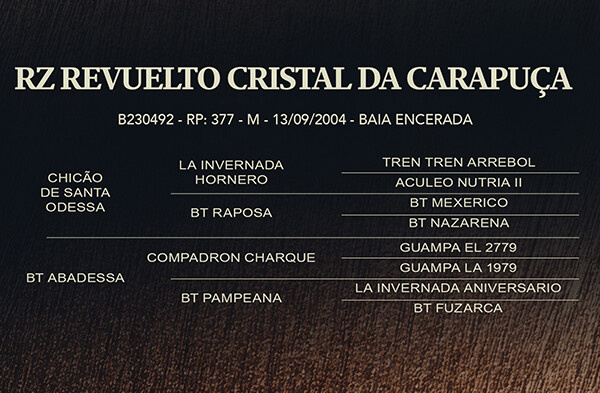 Geração RZ REVUELTO CRISTAL DA CARAPUÇA