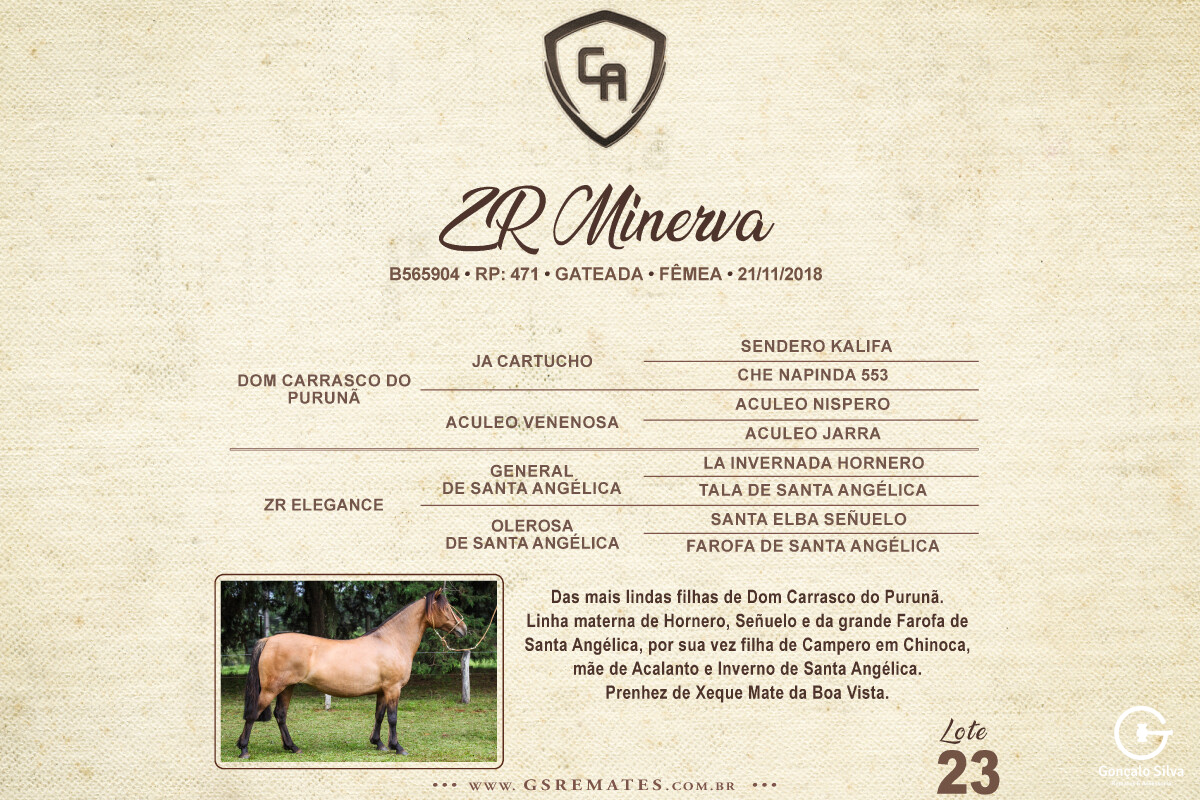 Geração ZR MINERVA