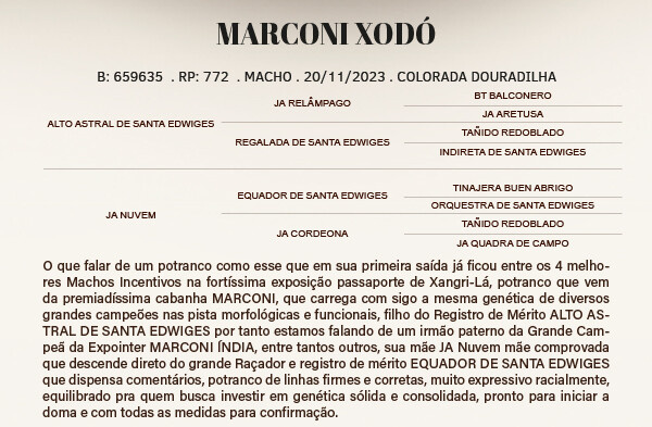 Geração MARCONI XODÓ