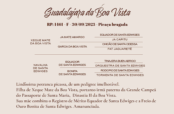 Geração GUADALAJARA DA BOA VISTA