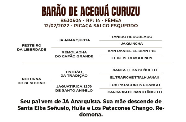 Geração BARÃO DE ACEGUÁ CURUZU