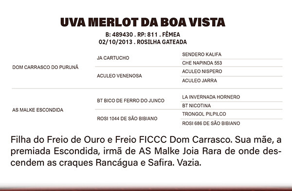 Geração UVA MERLOT DA BOA VISTA