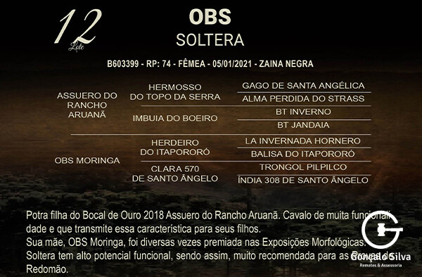 Geração OBS SOLTERA