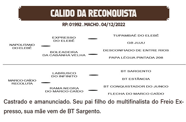 Geração CALIDO DA RECONQUISTA