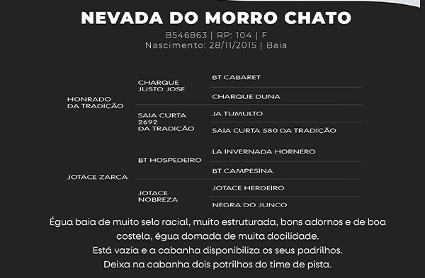 Geração NEVADA DO MORRO CHATO