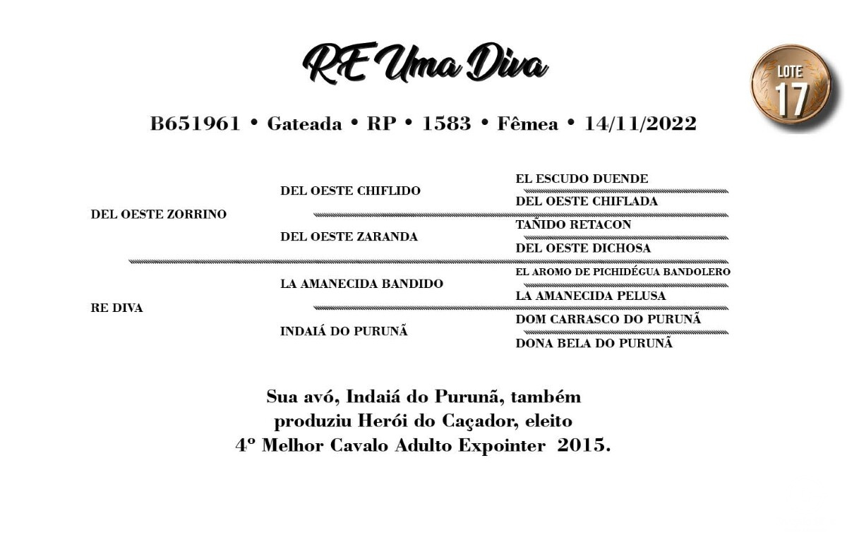 Geração RE UMA DIVA (VENDA VERTICAL)