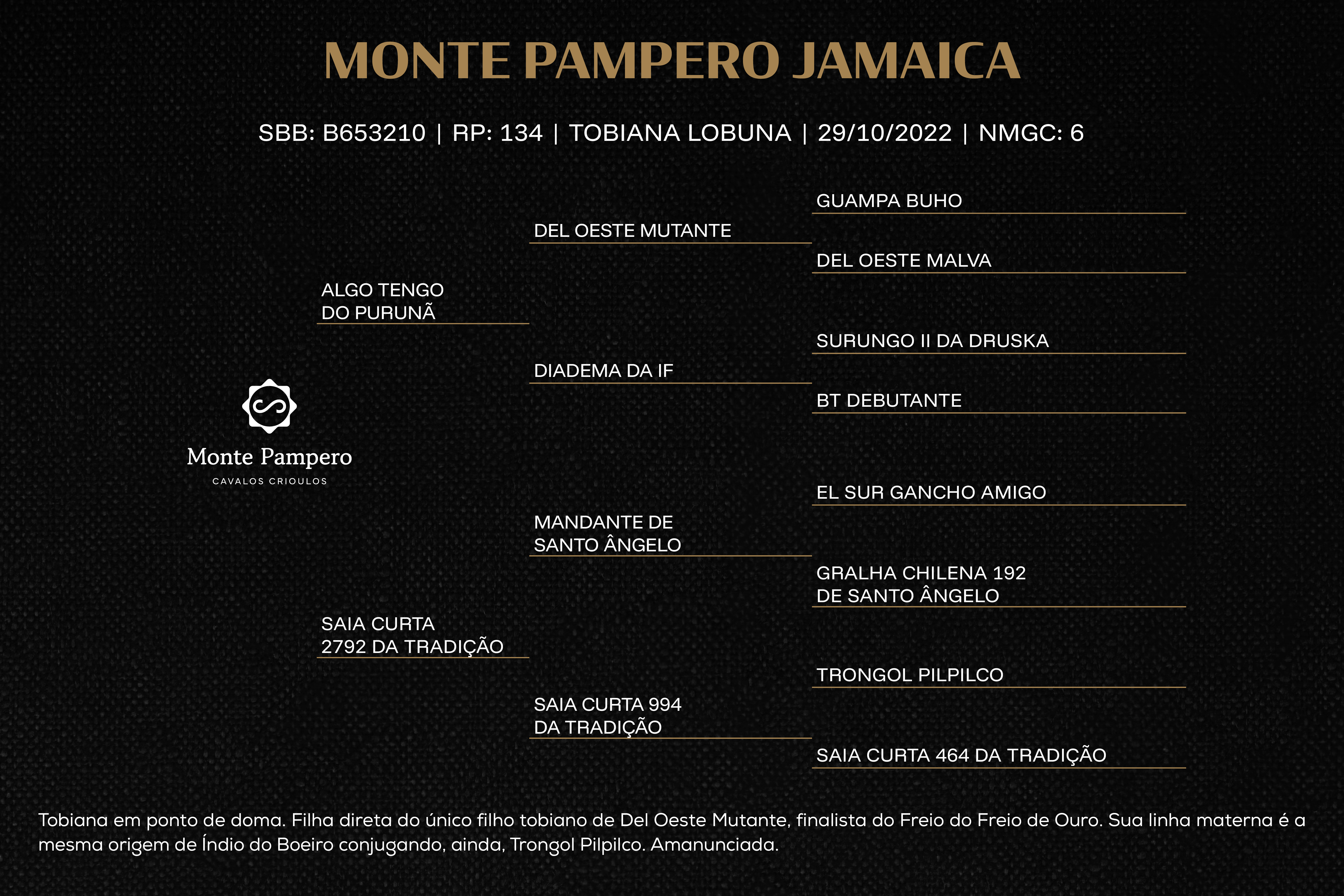 Geração MONTE PAMPERO JAMAICA