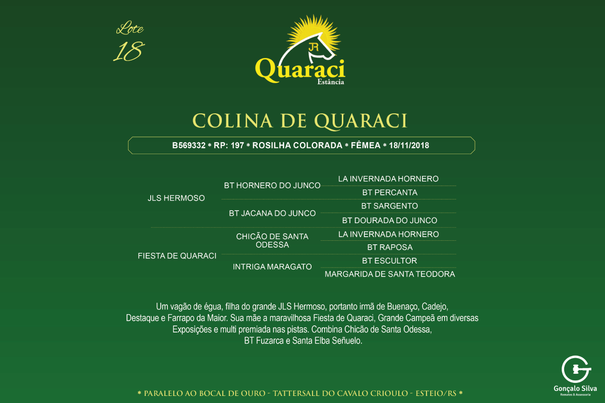 Geração COLINA DE QUARACI