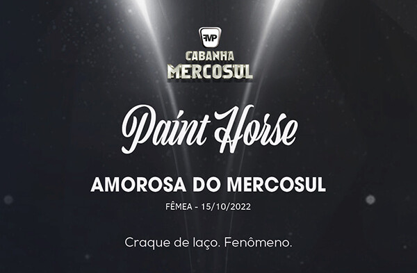 Geração AMOROSA DO MERCOSUL