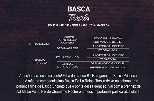 Geração BASCA TARSILA