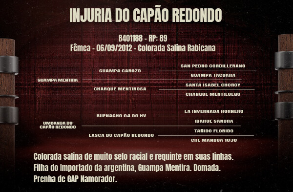Geração INJURIA DO CAPÃO REDONDO