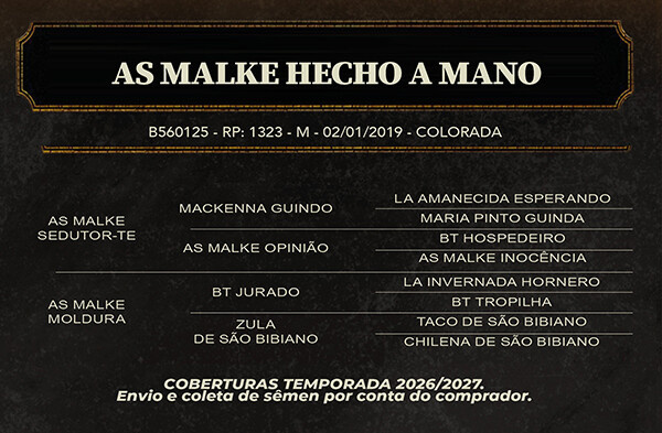Geração AS MALKE HECHO A MANO 