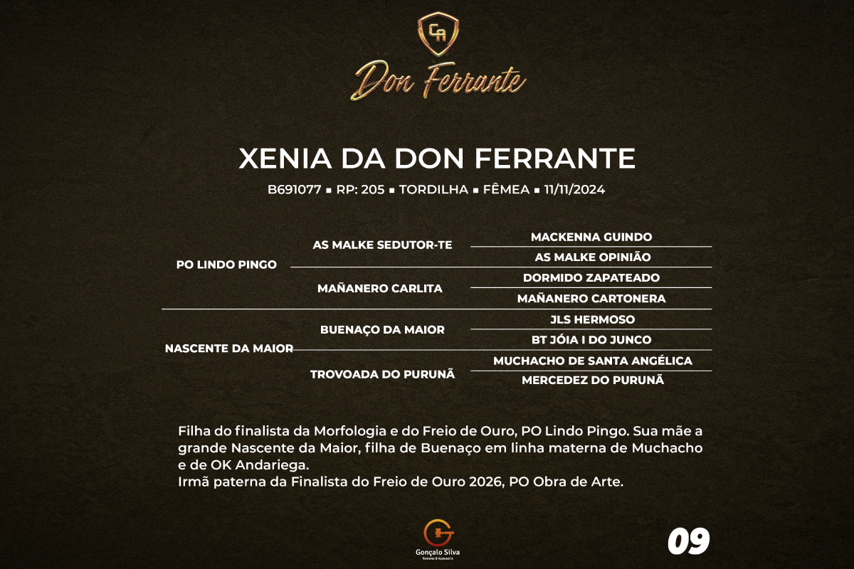 Geração XENIA DA DON FERRANTE 