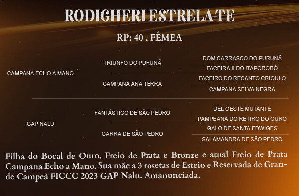 Geração RODIGHERI ESTRELA 
