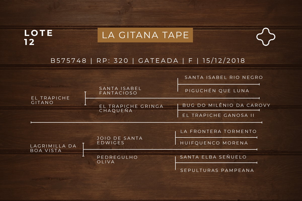 Geração LA GITANA TAPE
