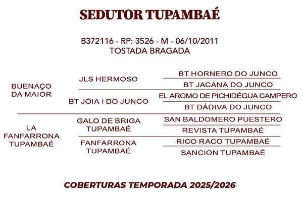 Geração SEDUTOR TUPAMBAÉ 
