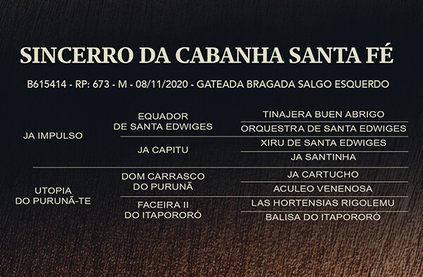 Geração SINCERRO DA CABANHA SANTA FÉ