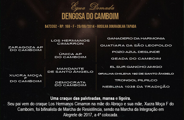 Geração DENGOSA DO CAMBOIM