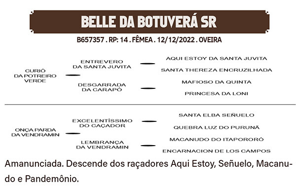 Geração BELLE DA BOTUVERA SR