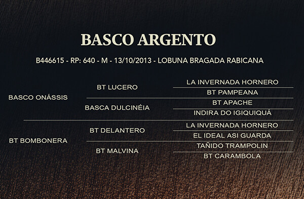 Geração BASCO ARGENTO